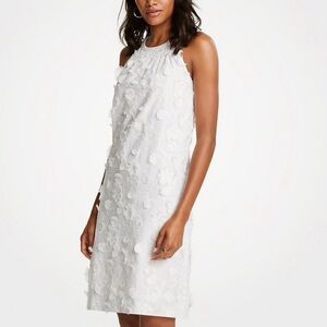 Ann Taylor White Floral Mini Dress